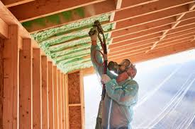 Best Radiant Barrier Insulation  in Zionsville, IN