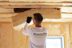 Best Blown-In Insulation  in Zionsville, IN