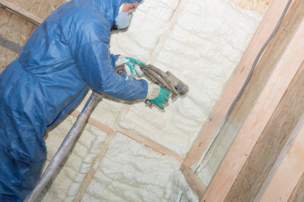 Best Commercial Insulation Services  in Zionsville, IN